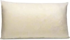 Jaxx Premium Grade Shredded Foam Filling - Refill For Pillows, Bean Bag Chairs, Dog Beds, And Cushions, 5 Lb -Best Furniture Store 31KR3oeBWgL. AC