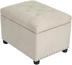Joveco Storage Ottoman Rectangular Fabric Organization Bench (Beige) -Best Furniture Store 31LBms 2GjL. AC