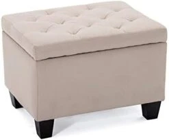 BELLEZE 24 Inch Modern Tufted Bedroom Storage Ottoman Bench, Linen Lift Top Upholstered Foam Padded Rectangular Footstool, Easy Assemble Furniture - Jay (Gray) 18 BELLEZE 24 Inch Modern Tufted Bedroom Storage Ottoman Bench, Linen Lift Top Upholstered Foam Padded Rectangular Footstool, Easy Assemble Furniture - Jay (Gray) -Best Furniture Store 31WOA37FXFL. AC