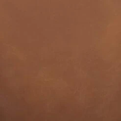 Amazon Brand – Rivet Decatur Modern Faux Leather Dining Chair, Set Of 2, 21"W, Tan Brown 12 Amazon Brand – Rivet Decatur Modern Faux Leather Dining Chair, Set Of 2, 21"W, Tan Brown -Best Furniture Store 31x2AvE9euL