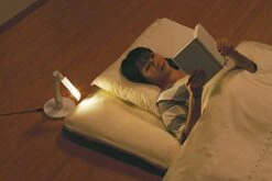 TWINBIRD LED Futon Light LE-H224W White LE-H224W -Best Furniture Store 41H6X9hMvHL