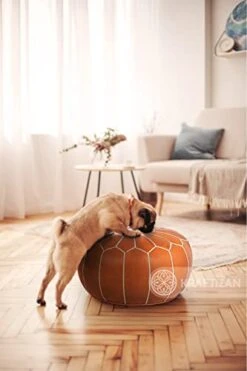 KRAFTIZAN Moroccan Leather Pouf Ottoman Foot Rest – Handmade Ottoman Leather Pouf – Genuine Leather Boho Round Ottoman Pouf Crafted By Moroccan Artisans – 21 X 13 Inch (Tan Brown, Unstuffed) -Best Furniture Store 41e1vxgMwuL