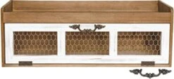 Felt Creative Home Goods Farmhouse Chicken Wire Countertop Shelving Cabinet Decor Organizer With Pull Down Door Country Style Bathroom Or Kitchen Storage Space Saver For Decorative Display White -Best Furniture Store 41hE0vwwiHL. AC