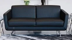Zuri Furniture Modern Armondo Loveseat In Black Microfiber And Genuine Leather -Best Furniture Store 41j4uDm oYL. AC