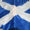 MatureGirl Canvas Proof And And Colors The Header Fading Scottish Flag Double VividS Of The Decoration & Hangs Small Sculptures For Shelf (As Shows, One Size)