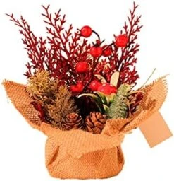 MatureGirl Artifical Fake Mini Christmas Tree With Ornaments Decorations For Home Office Bedroom Livingroom Desk Top Stand Mom Garden Gnome (E, One Size) -Best Furniture Store 41w vHp6w0L. AC