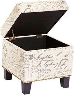 FIRST HILL FHW Living Storage Ottoman, Small, Black -Best Furniture Store 51KSY u4cNL. AC