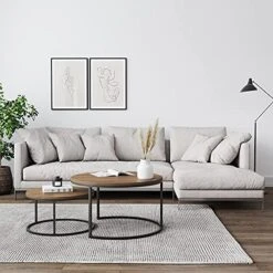 Nathan James Stella Round Modern Nesting Coffee Set Of 2, Stacking Living Room Accent Tables With Tabletops And Matte Metal Frame, Reclaimed Oak/Gunmetal -Best Furniture Store 51U3DwpTpkS