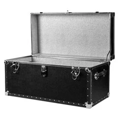 Andard Trunk (Without Wheels) -Best Furniture Store 51xTUQq3E5L