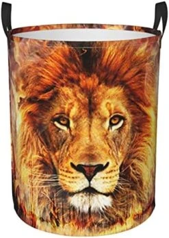 Large Laundry Hamper Collapsible Laundry Baskets Grunge Lion Portrait African Hippies Rock Dirty Clothes Hamper Waterproof Portable Storage Bin For Toy Organizer Nursery 29 Large Laundry Hamper Collapsible Laundry Baskets Grunge Lion Portrait African Hippies Rock Dirty Clothes Hamper Waterproof Portable Storage Bin For Toy Organizer Nursery -Best Furniture Store 51yN5sugfdL. AC