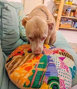 Mandala Life ART Blue Pouf Ottoman Cover -24x8 Inches - Moroccan Décor Pouffe Footstool For Kids Room Living Bedroom Bohemian Furniture 25 Mandala Life ART Blue Pouf Ottoman Cover -24x8 Inches - Moroccan Décor Pouffe Footstool For Kids Room Living Bedroom Bohemian Furniture -Best Furniture Store 51z7ahVnQAL. AC